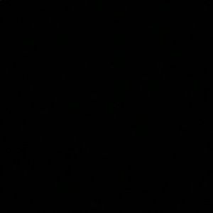 Meet your Posher, Demetrius